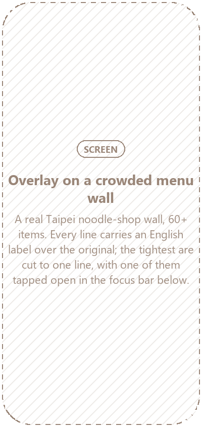 Placeholder: scan screen